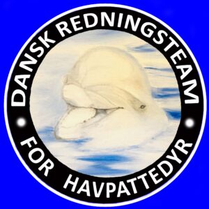 Havpattedyrsredder kursus